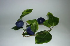 Ветка муляжей "Слива" - fgospostavki.ru - Белово