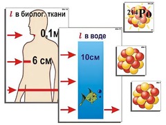Модель-аппликация "Явление радиоактивности" (ламинированная) - fgospostavki.ru - Белово
