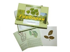 Гербарий "Дикорастущие растения" (30 видов, с иллюстрациями) - fgospostavki.ru - Белово