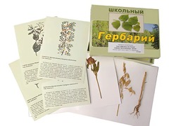 Гербарий "Систематика растений. Семейство Бобовые. Злаки" (раздаточный) - fgospostavki.ru - Белово