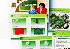 Коллекция "Шелк и продукты его переработки" (средняя школа) - fgospostavki.ru - Белово