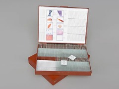 Комплект микропрепаратов "Общая биология" - fgospostavki.ru - Белово