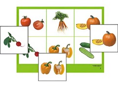 Логопедическое лото "Овощи" (4 планшета, 24 карточки, цветное, ламинированное) - fgospostavki.ru - Белово