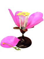 Модель цветка яблони - fgospostavki.ru - Белово