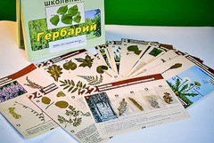 Гербарий к курсу основ общей биологии - fgospostavki.ru - Белово
