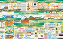 Комплект таблиц "Экология (9 листов)" (100х140 сантиметров, винил) - fgospostavki.ru - Белово