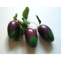 Ветка муляжей "Манго" - fgospostavki.ru - Белово