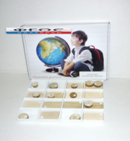 Коллекция "Древесные породы" - fgospostavki.ru - Белово