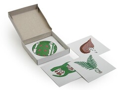 Модель-аппликация "Размножение папоротника" (набор из 8 карт) - fgospostavki.ru - Белово