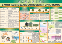 Таблица "Биотические взаимоотношения организмов" (100х140 сантиметров, винил) - fgospostavki.ru - Белово