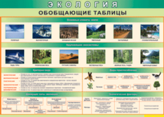 Таблица "Экология. Обобщающие таблицы" (100х140 сантиметров, винил) - fgospostavki.ru - Белово