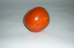 Муляж "Гранат" - fgospostavki.ru - Белово