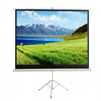 Экран на штативе DSKD-4304 - fgospostavki.ru - Белово