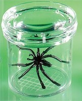 Баночка для изучения насекомых GeoSafari - fgospostavki.ru - Белово