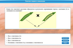 Интерактивные курсы. Биология 11 класс. Базовый. - fgospostavki.ru - Белово