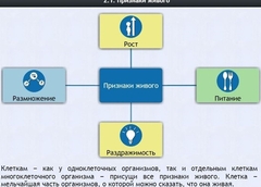 Интерактивные курсы. Биология 5 класс. Базовый - fgospostavki.ru - Белово