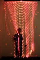 Мерцающий занавес в комплекте с источником света - fgospostavki.ru - Белово