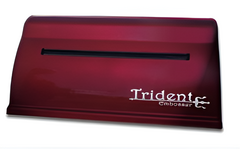 Принтер для печати рельефно-точечным шрифтом Брайля Trident - fgospostavki.ru - Белово