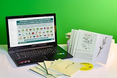 Гербарий натурально-интерактивный "Сельскохозяйственные растения" - fgospostavki.ru - Белово