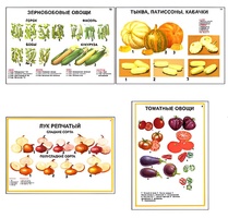 Плакаты ПРОФТЕХ "Ассортимент овощных культур" (12 пл, винил, 70х100) - fgospostavki.ru - Белово