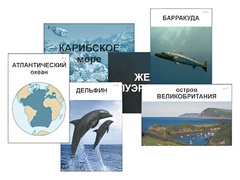 Модель-аппликация "Океаны. Знакомство" (ламинированная) - fgospostavki.ru - Белово