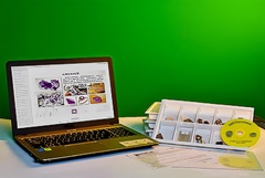 Коллекция натурально-интерактивная "Кварц в природе" - fgospostavki.ru - Белово