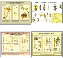 Плакаты ПРОФТЕХ "Вредители и болезни с/х культур и меры борьбы с ними" (11 пл, винил, 70х100) - fgospostavki.ru - Белово