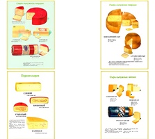 Плакаты ПРОФТЕХ "Ассортимент сыров" (9 пл, винил, 70х100) - fgospostavki.ru - Белово