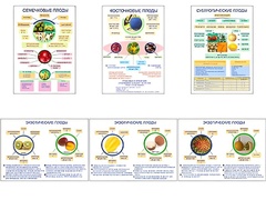 Плакаты ПРОФТЕХ "Плоды" (6 пл, винил, 70х100) - fgospostavki.ru - Белово