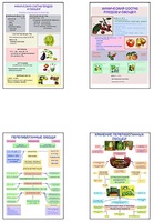 Плакаты ПРОФТЕХ "Классификация овощей и переработка" (8 пл, винил, 70х100) - fgospostavki.ru - Белово