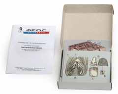 Модель-аппликация "Растительные ткани" (набор из 15 карт) - fgospostavki.ru - Белово