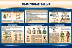 Стенд "Иммобилизация" - fgospostavki.ru - Белово