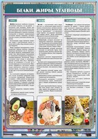 Стенд "Белки. Жиры. Углеводы" - fgospostavki.ru - Белово