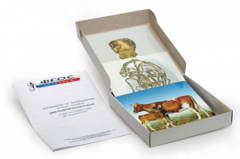 Модель-аппликация "Цикл развития бычьего цепня" (набор из 7 карт) - fgospostavki.ru - Белово