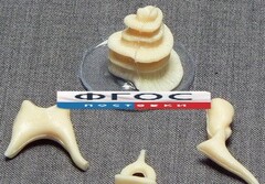 Модель "Косточки слуховые" - fgospostavki.ru - Белово