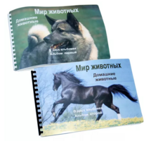 Пособие для слабовидящих - Домашние животные - fgospostavki.ru - Белово