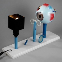 Модель "Зрение" (электрическая) - fgospostavki.ru - Белово