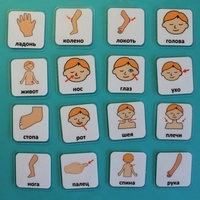 Набор карточек "Части тела" - fgospostavki.ru - Белово