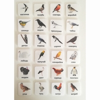 Набор карточек "ПТИЦЫ" - fgospostavki.ru - Белово