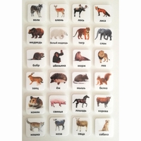 Набор карточек "ЖИВОТНЫЕ" - fgospostavki.ru - Белово