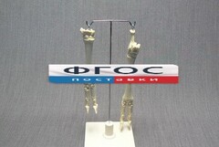 Скелет конечности овцы (передняя и задняя) на подставке - fgospostavki.ru - Белово