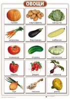 Таблицы "Окружающий мир" (формат А2, ламинированные, 10 таблиц) - fgospostavki.ru - Белово