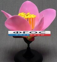 Модель "Цветок персика" - fgospostavki.ru - Белово