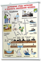 Плакаты по общей экологии для оформления кабинета. - fgospostavki.ru - Белово
