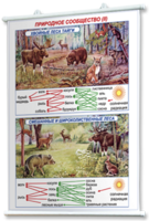 Плакаты по географии России для оформления кабинета. - fgospostavki.ru - Белово