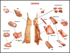 Таблица "Правила разделки мясных туш. Свинина" (100х140 сантиметров. винил) - fgospostavki.ru - Белово