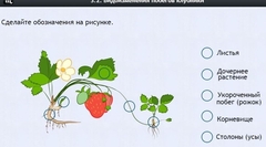 Интерактивные курсы. Биология 7 класс. Расширенный. - fgospostavki.ru - Белово