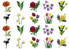 Комплект карточек "Запоминай, играй, считай" - Цветы - fgospostavki.ru - Белово