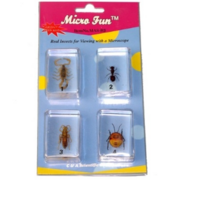 Набор микропрепаратов для стереомикроскопа №14 «Насекомые» - fgospostavki.ru - Белово