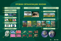 Электрифицированный стенд "Уровни организации жизни" - fgospostavki.ru - Белово